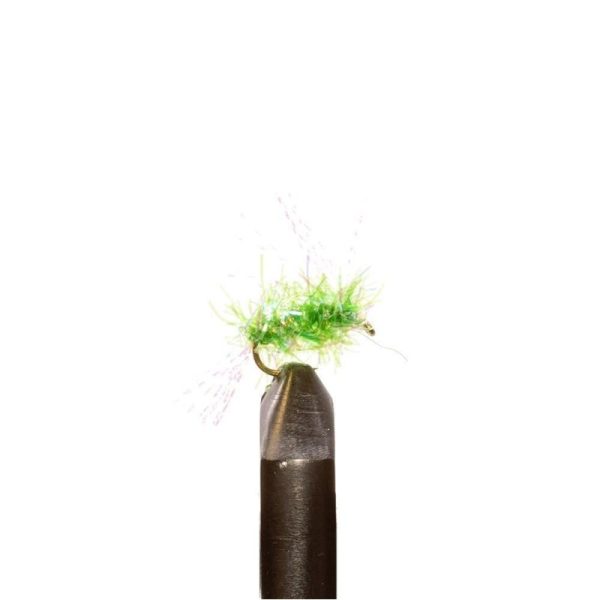 Salmon Candy Kelly Green