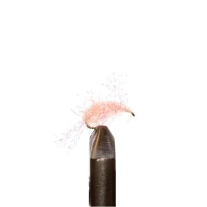 Salmon Candy Pink