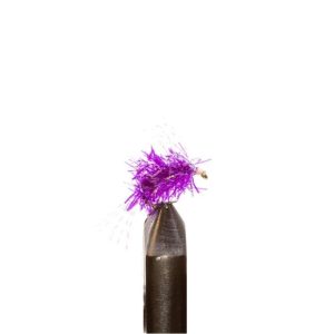 Salmon Candy Purple