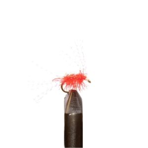 Salmon Candy Red