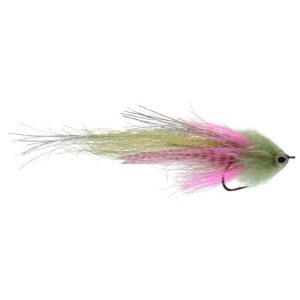 SATKOWSKI’S JURASSIC PORK FLIES