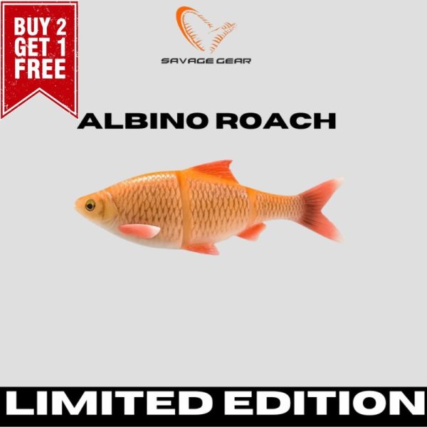 Savage Gear | 4D Line Thru Roach | 25cm | New Limited Edition*