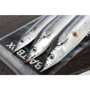 Seafreeze Bluey x 3 (In-Store Only)