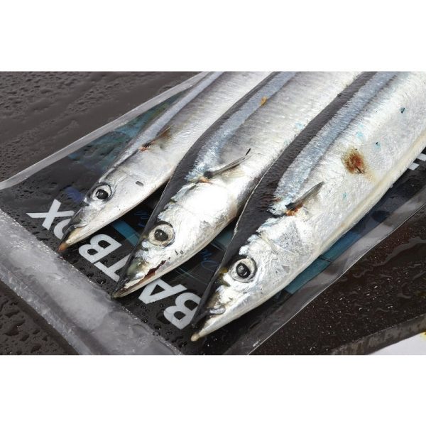 Seafreeze Bluey x 3 (In-Store Only)