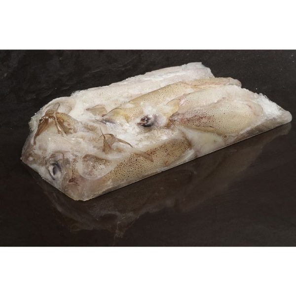Seafreeze Californian Loligo Squid 1lb(In-Store Only)