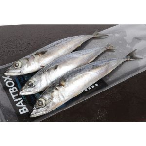 Seafreeze Mackerel 2/3 (In-Store Only)
