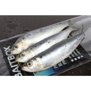 Seafreeze Sardine x 3/4(In-Store Only)