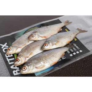 Seafreeze Zander Pack Roach x 5/6(In-Store Only)