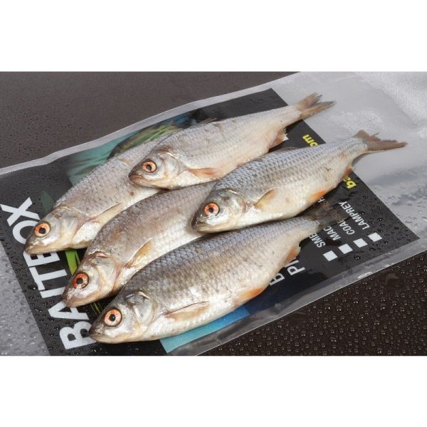 Seafreeze Zander Pack Roach x 5/6(In-Store Only)