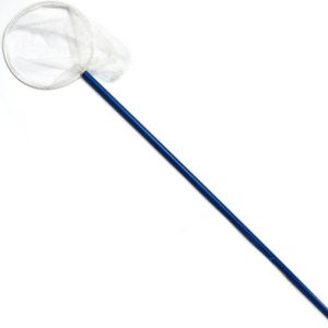 Shakespeare | Kids Tiddler Net