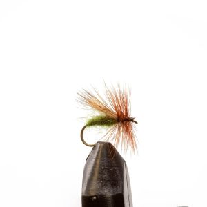 Solomon Caddis