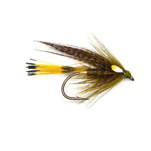 SOOTY OLIVE