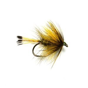 SOOTY OLIVE BUMBLE