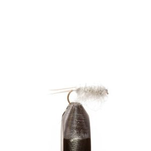 Sow Bug