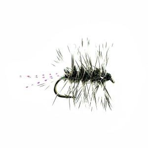 SPARKLE GRIFFITH’S GNAT