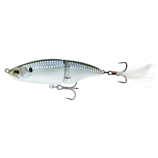 Speed Glide 100 – Shad Scales
