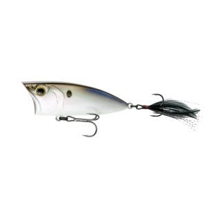 SplashBack Popper – 4K Shad