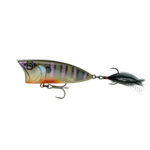 SplashBack Popper – Bluegill Spawn