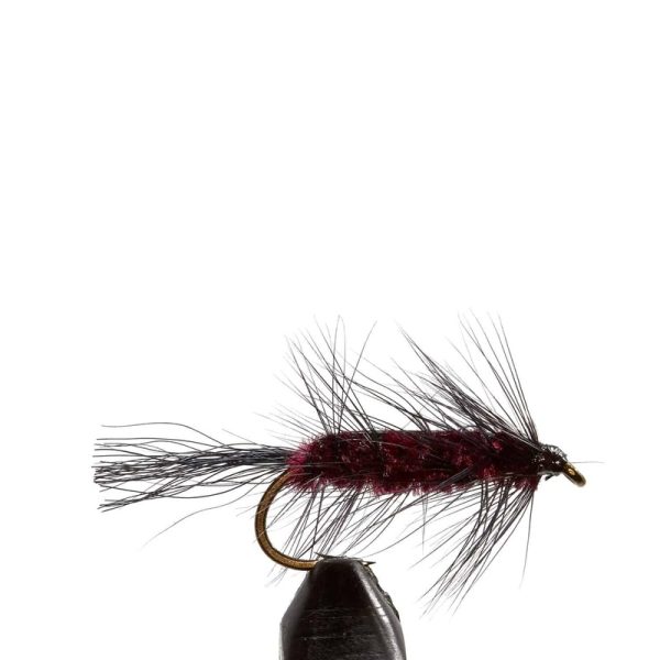 Spring Wiggler Wine