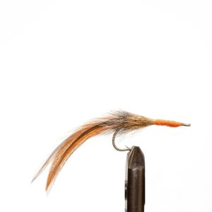 Squirrel Tail