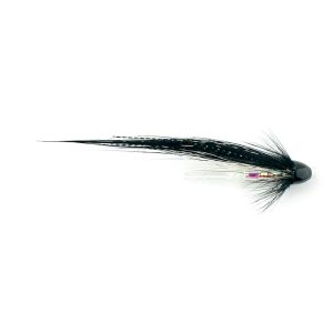 STEALTH SUNRAY – WHITE