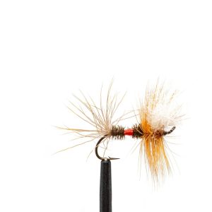 Steelhead Royal Wulff