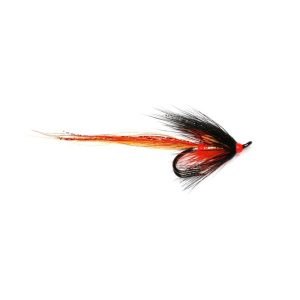 STENTON SHRIMP – DOUBLE