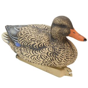 Stepland | Mallard Decoy Female HD