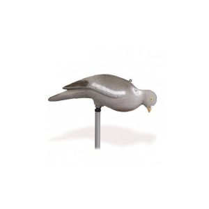 Stepland | Pigeon Without Legs
