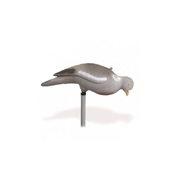 Stepland | Pigeon Without Legs