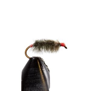 Stevie Wonder Sow Bug
