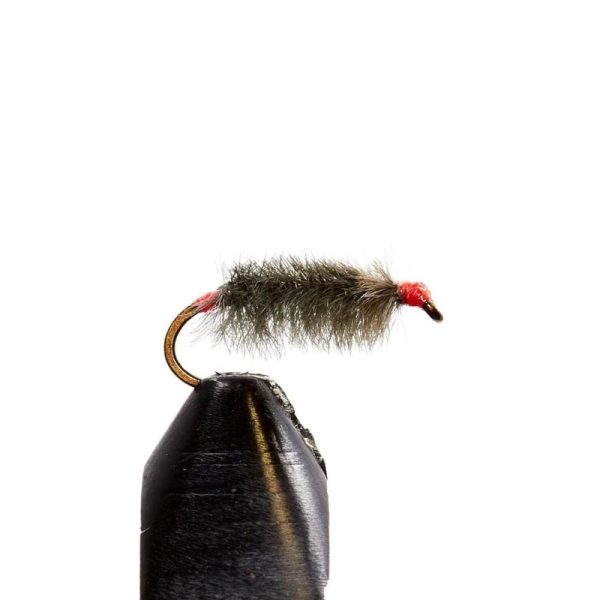 Stevie Wonder Sow Bug