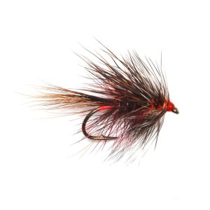 STIMULATOR – CRIMSON CLARET