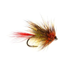 STIMULATOR – SUNBURST & OLIVE
