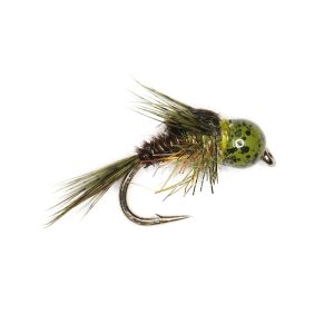 STONE CLINGER – OLIVE