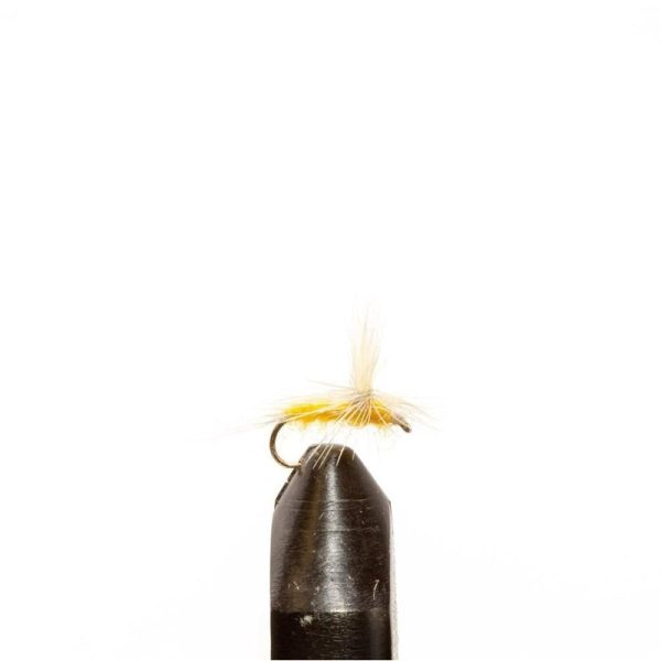 Sulphur Para Dun