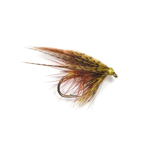 SUMMER SEDGE