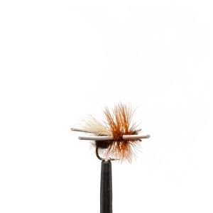 Super Ant – Black