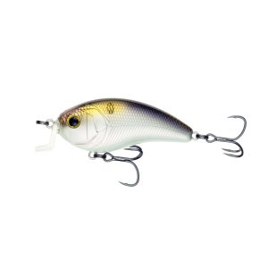 Swank 66X – 4K Shad