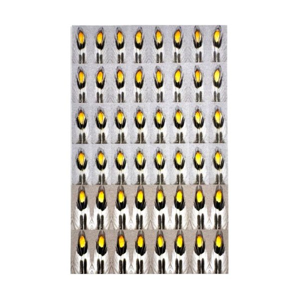 Synthetic Jungle Cock  –  48 eyes / pack