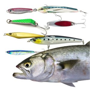 Tailor Lure Pack – Hand Picked