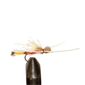 Tarantula Red