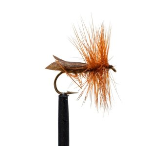 Tentwing Caddis