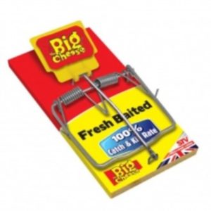 The Big Cheese | Traditional Rat Trap