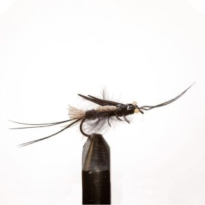 Thunderbug-Black