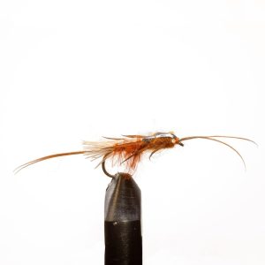 Thunderbug-Brown
