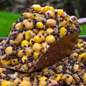 Tier One Free Delivery 40kg