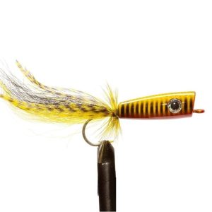 Tiger Saltwater Popper