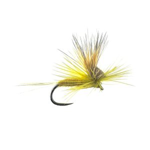 TILT WING DUN – OLIVE DUN