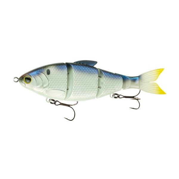 Trace 6″ – Blueback Herring